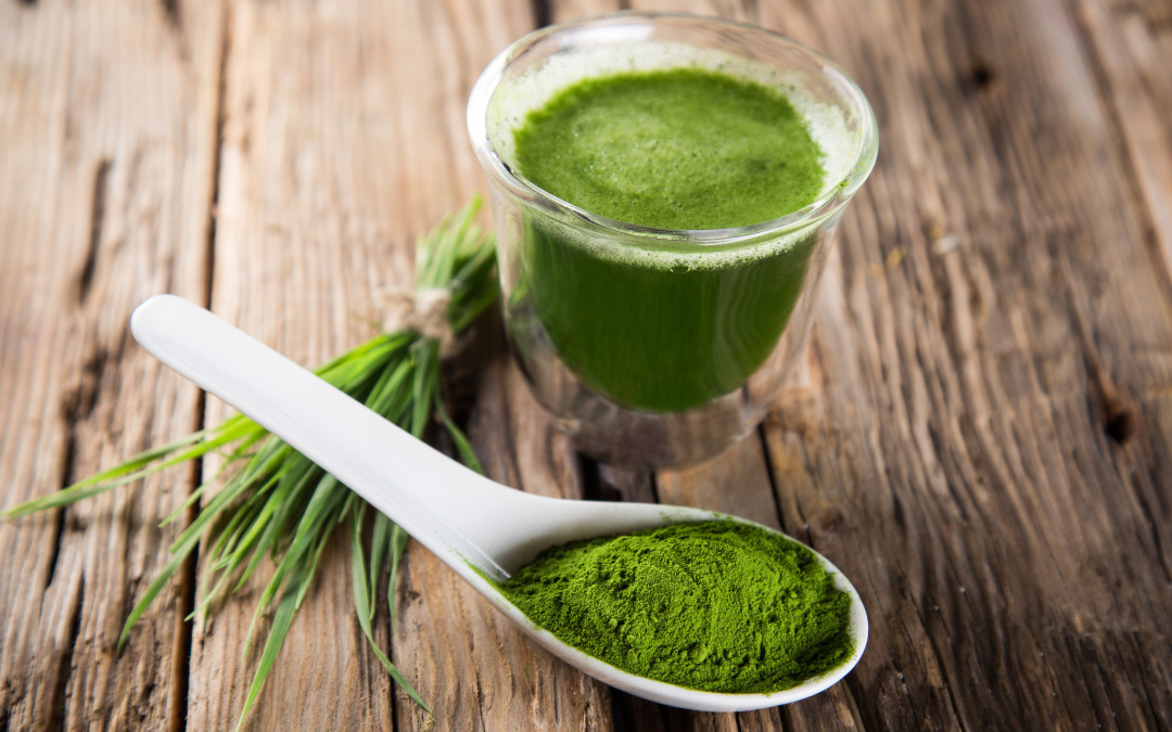 Spirulina Algae Properties, Uses and Contraindications Avvenice
